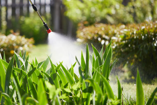 24/7 Emergency Ant Control experts in Denison, TX